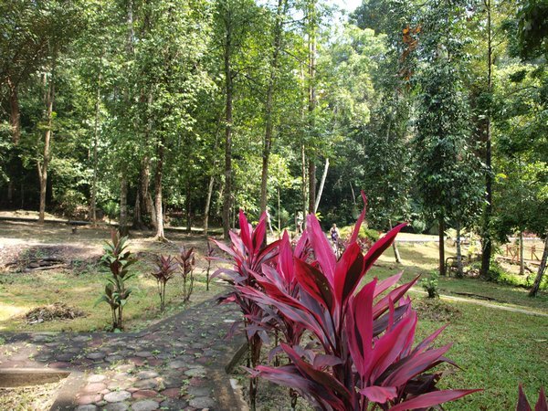 Shah Alam Agriculture Park