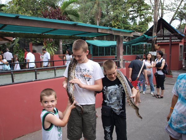 The boys don't mind reptiles