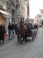 Horse n Cart