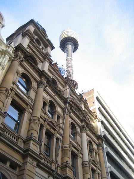 the sky tower