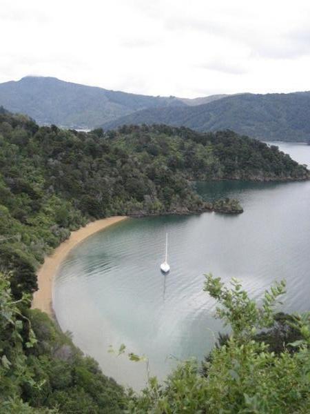 one of the bays along the marlborough sounds coast road to picton