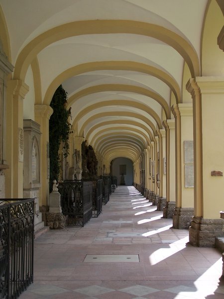 corridor on cemetery