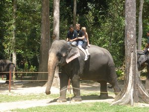 Skye & Danny on an elephant 02