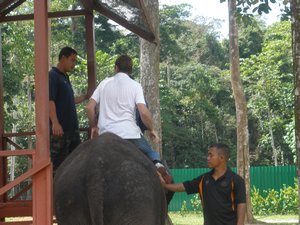 Peter riding an elephant 01
