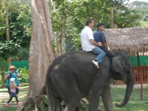 Peter riding an elephant 02