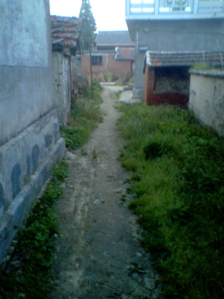  alley  