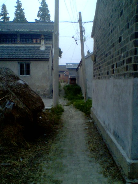 The alley  of our village!