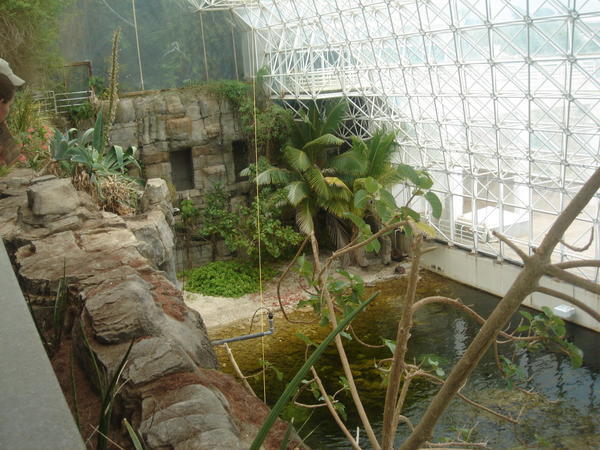 Inside Biosphere