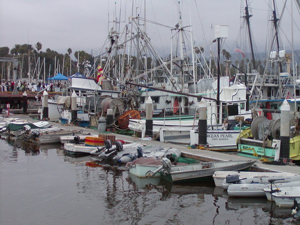 Santa Barbara Fishing Fleet