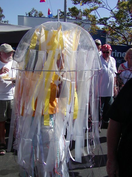 The Jellyfish costume