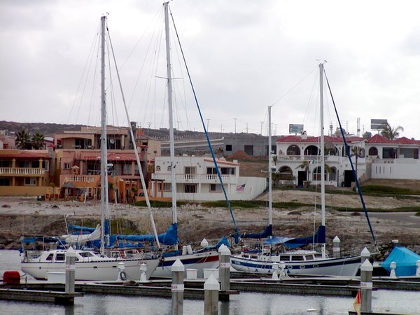 Ansa and Echo in Puerto Salina