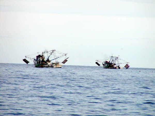 Fishing Boats