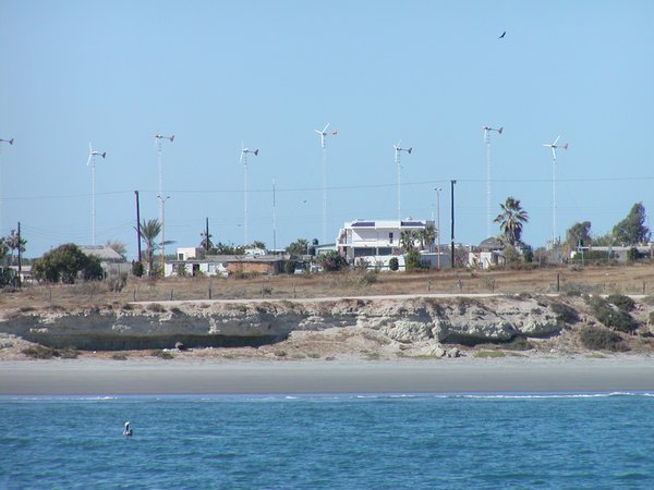 Windfarm in Bahia San Juanico