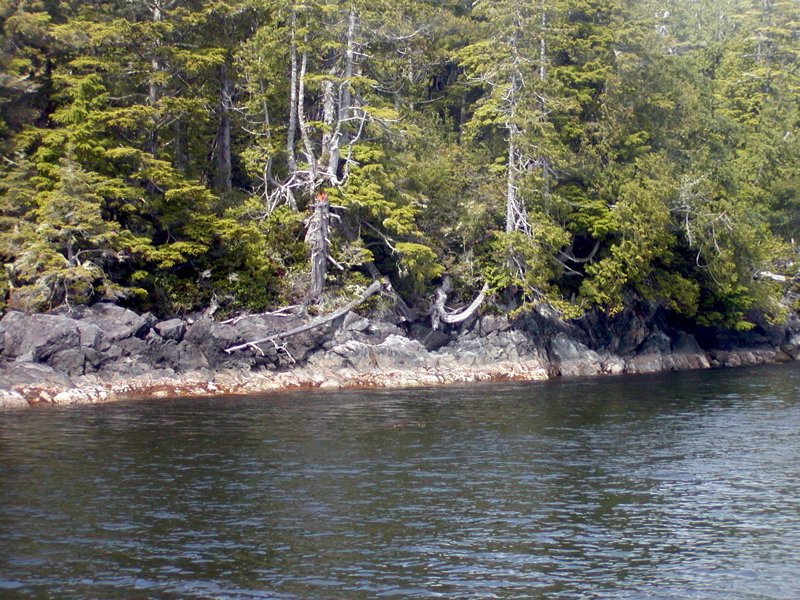 Typical shoreline