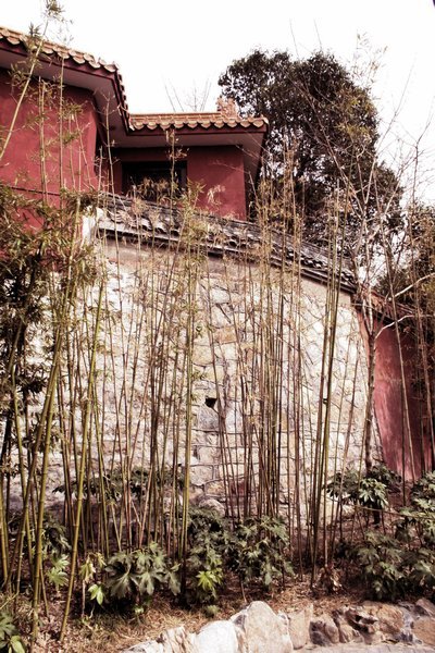 bamboos