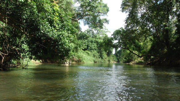 canoeing in the jungle