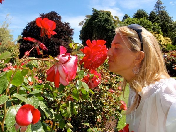Always stop to smell the roses - Christchurch Botanical Gardens