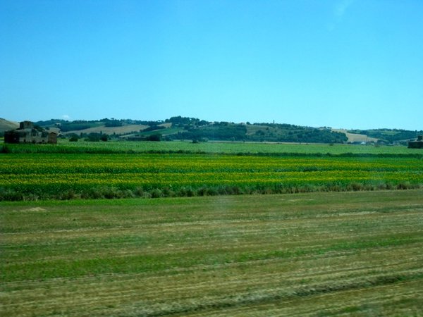 A quick snap of Tuscany from the train...