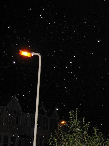 Snow at night