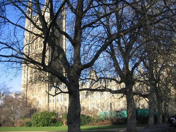 Westminster from park