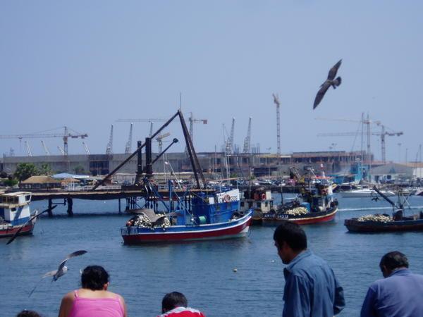 Antofagasta Harbor