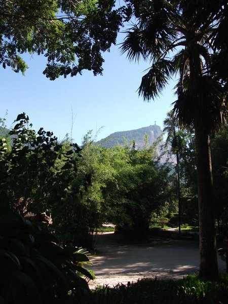View from Botanical Garden