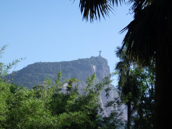 The Corcovado from Botanical Garden