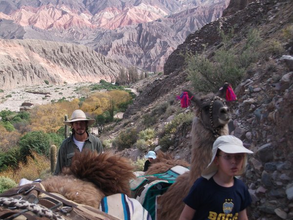 Shakked hiking with llamas