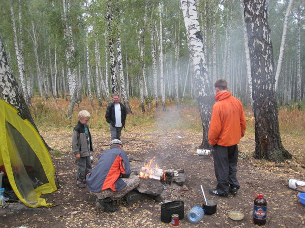 Our campsite in the birch tree forest