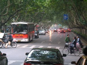 interesting tree-lined street in Nanjing