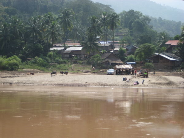 Typical Mekong Village