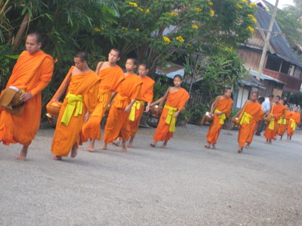 Monks, Laung Prabang