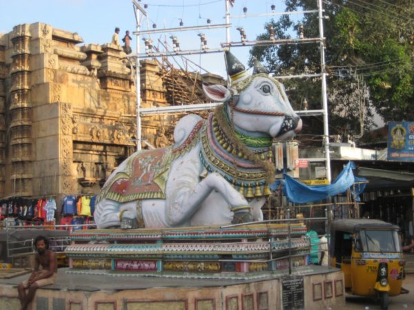 Holy Cow, Madurai