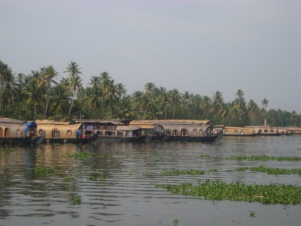 Houseboats, Keralan Backwaters