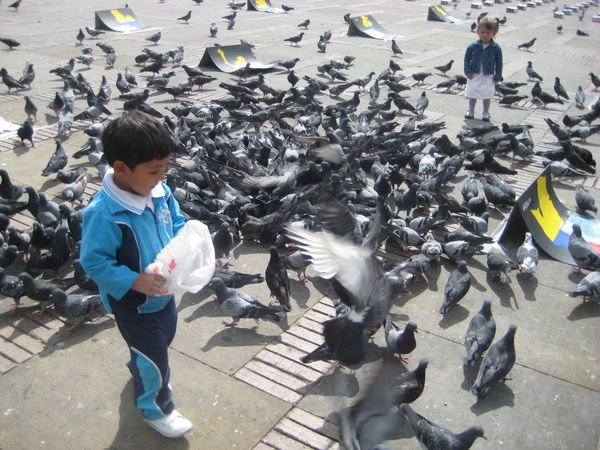 Boy feeds the pidgeons, Simon Bolivar Square, Bogota
