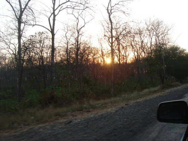 sunset along 'Jati' woods