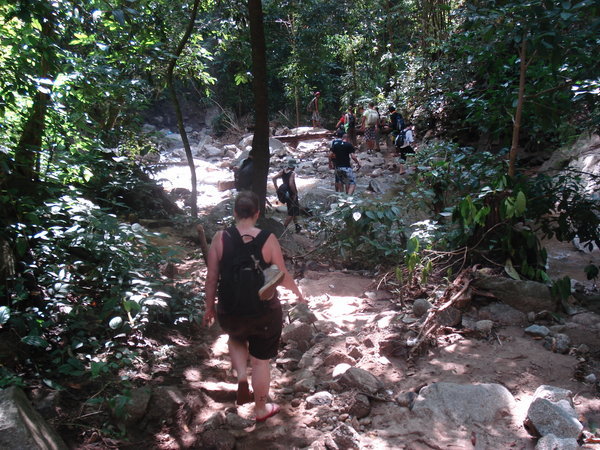Jungle trekking - minor river crossing