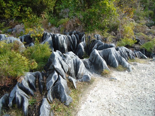 Rocky outcrops on Takaka Mountain ('Marble' Mountain)