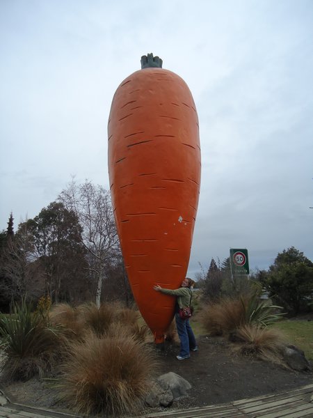 Big carrot!