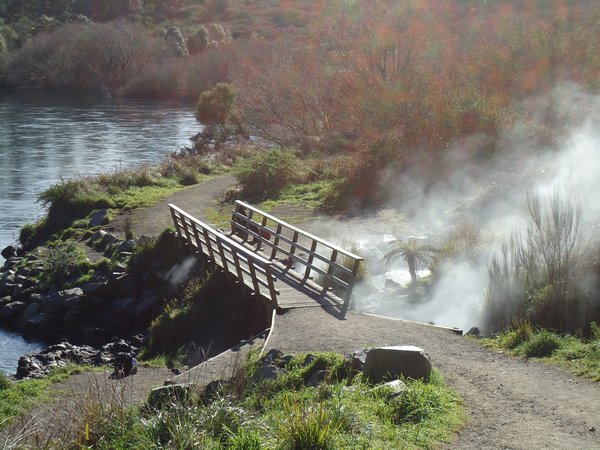 Hot springs in the park at Taupo