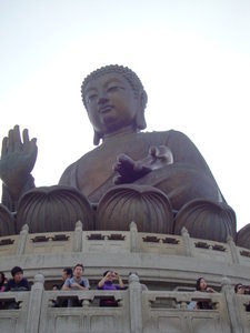 Under the Buddha