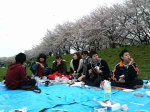 Aeon Cherry Blossom party