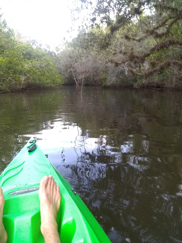 Kayaking on the Estero River