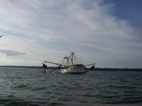 Georgia shrimp boat