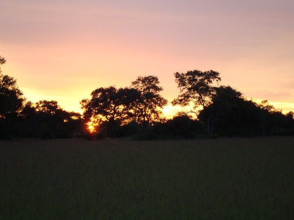 South Luangua, Zambia 290
