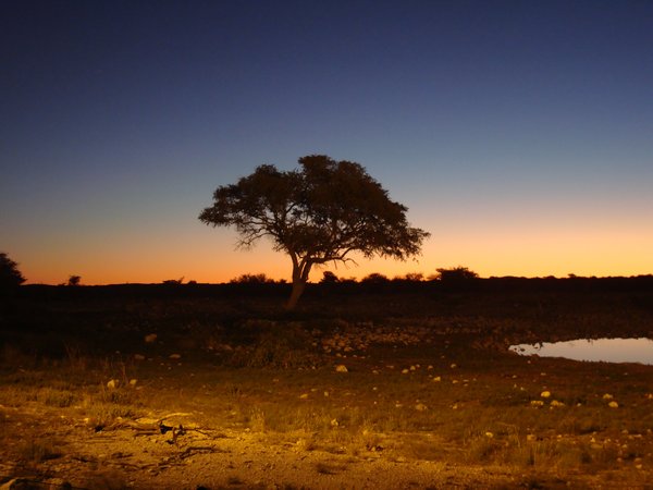 Etosha watering hole at sunset