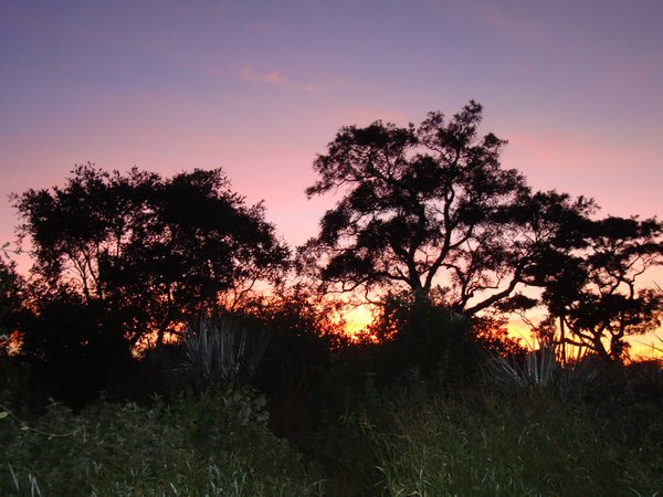 Okavango sunset