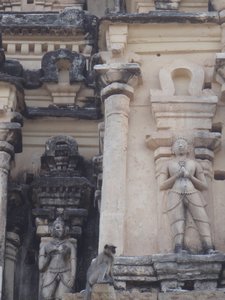 monkay climbing temple