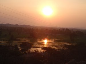 sunset over paddy fields