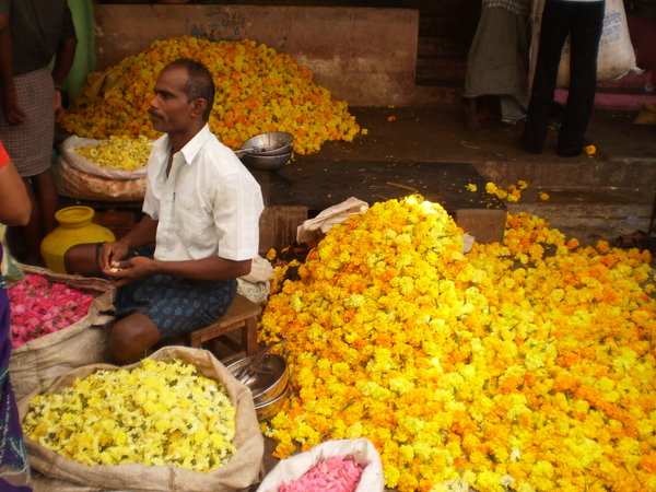 More from the flower market
